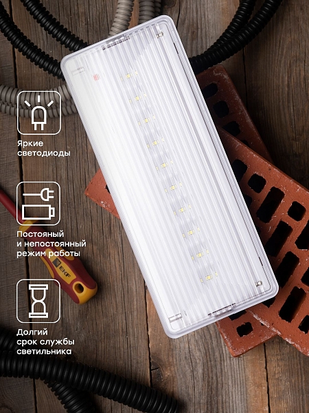 Светильник аварийного освещения SAFEWAY-10P пост. действия LED EKF Proxima