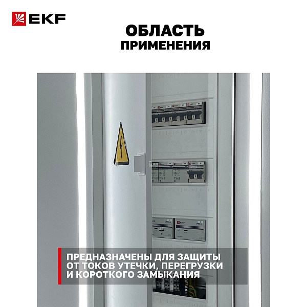 Автоматический выключатель дифференциального тока АВДТ-63N 1P+N (S) 32А характеристика C 100мА тип AC электромеханический селективный 6кА PROXIMA EKF