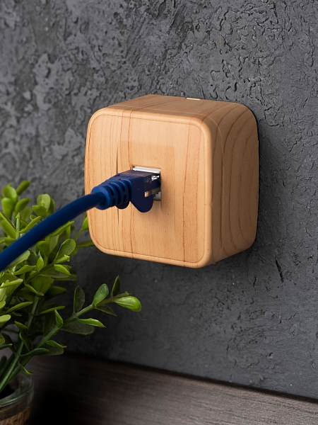 Розетка RJ-45 1-местная ОП Минск, 1А, 120В, светлое дерево EKF