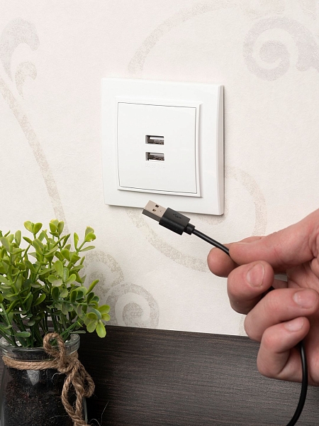Минск Розетка USB 2-местная СП 2,1А белая EKF