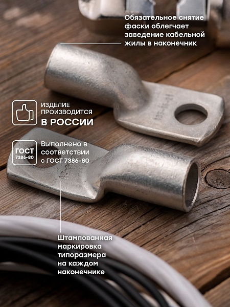 Наконечник медный луженый ТМЛ 185-16-21 EKF PROxima