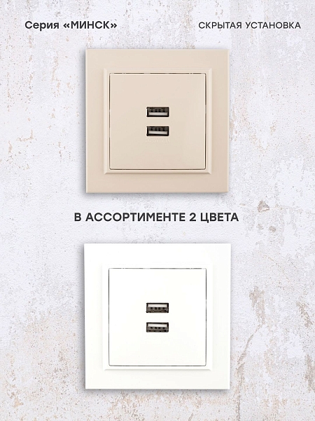 Минск Розетка USB 2-местная СП 2,1А бежевая EKF