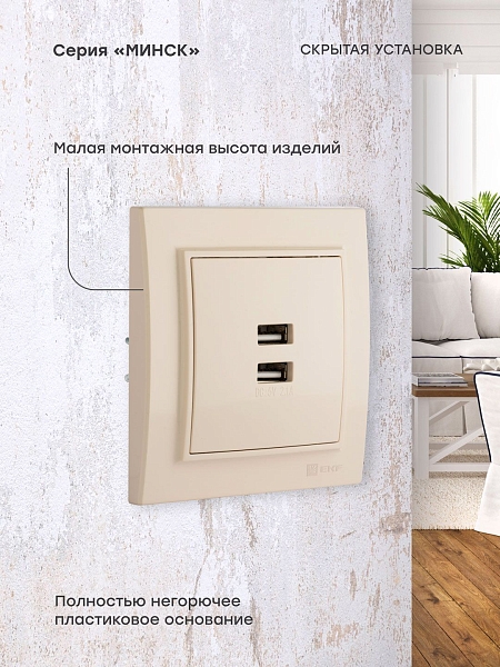 Минск Розетка USB 2-местная СП 2,1А бежевая EKF