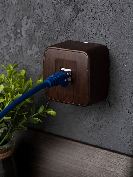 Розетка RJ-45 1-местная ОП Минск, 1А, 120В, тёмное дерево EKF