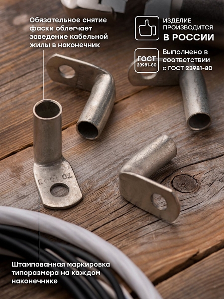 Наконечник медный луженый ТМЛ 70-10-13 (90гр) EKF PROxima