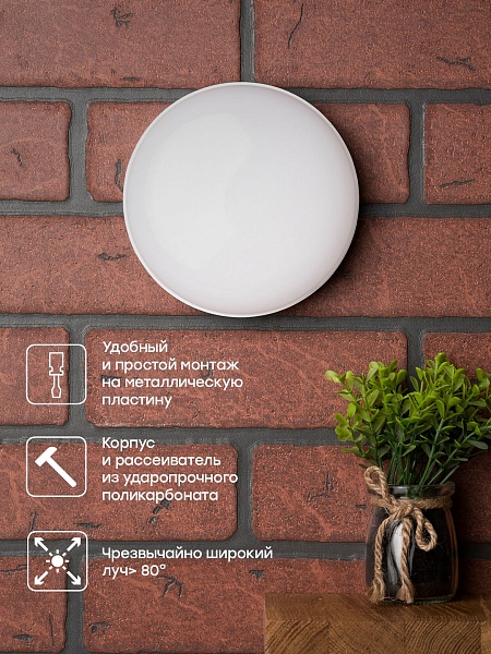 Светильник светодиодный ЖКХ круг ДПО-2001 8Вт 4000K IP65 LUMA EKF