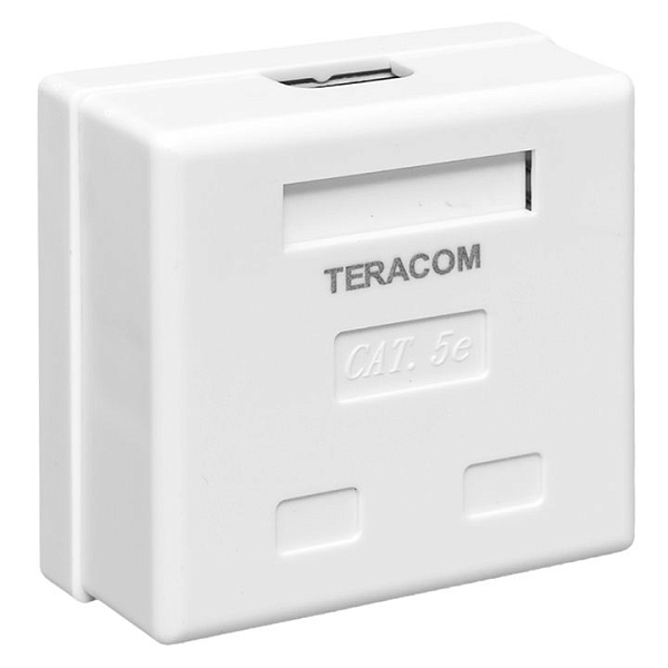 Розетка настенная TERACOM Cat.5E неэкранированная 2 порта RJ-45 Dual IDC белая