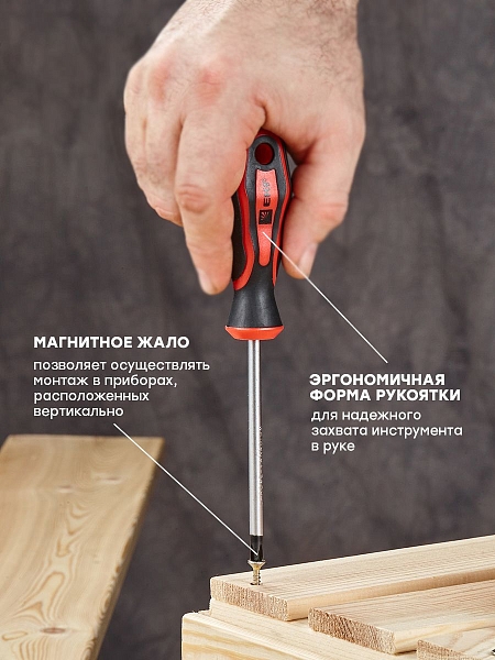 Отвертка Master PH2x100 мм EKF