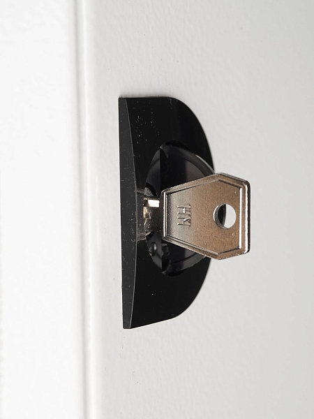Ключ для пластикового замка к ЩРН (арт. lock-shrn-ip31) EKF PROxima