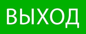 Пиктограмма "Выход" 240x95мм (для SAFEWAY-10) EKF