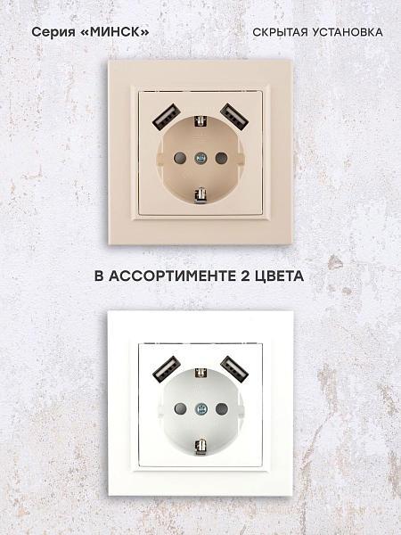 Минск Розетка 1-местная СП с/з 16А бежевая с защ. штор. с 2 USB 2,1А EKF