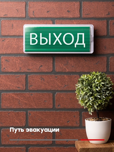 Пиктограмма "Выход" 240x95мм (для SAFEWAY-10) EKF