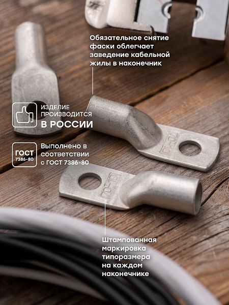 Наконечник медный луженый ТМЛ 70-10-13 EKF PROxima