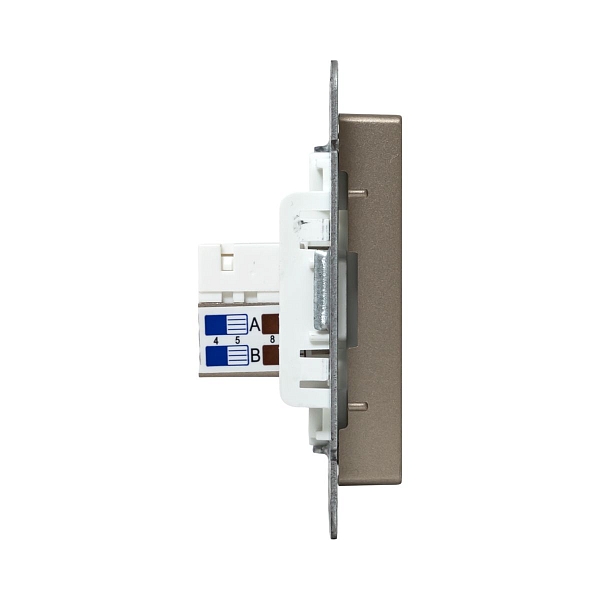 Механизм розетки RJ45 - 2шт, (cat5), шампань Эпика EKF
