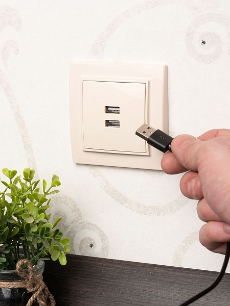Минск Розетка USB 2-местная СП 2,1А бежевая EKF