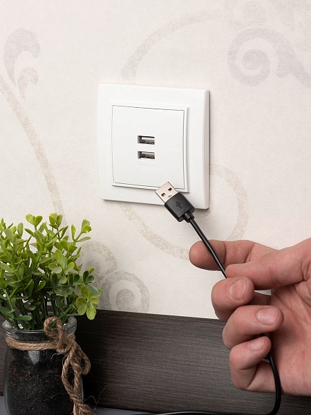 Минск Розетка USB 2-местная СП 2,1А белая EKF