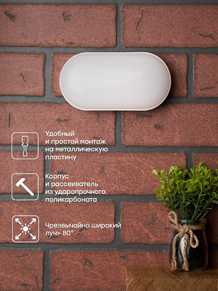 Светильник светодиодный ЖКХ овал ДПО-2004 8Вт 4000K IP65 LUMA EKF