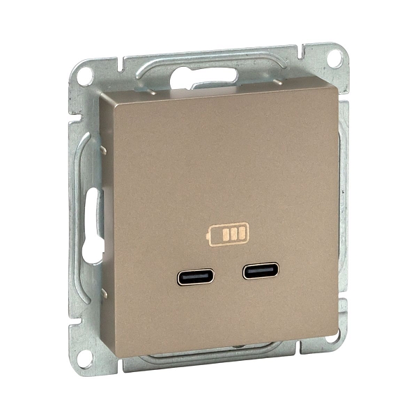 Механизм розетки USB-C - 2шт, шампань Эпика EKF