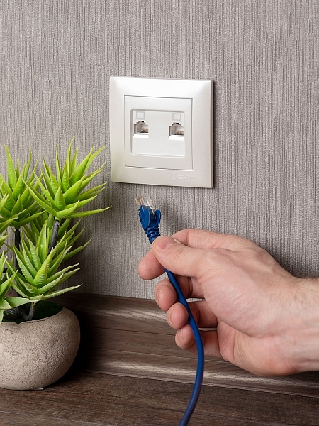 Валенсия лицевая панель розетки RJ-45 2-местная кашемир EKF
