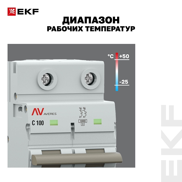 Выключатель автоматический AV-125 2P 100A (C) 10kA EKF AVERES