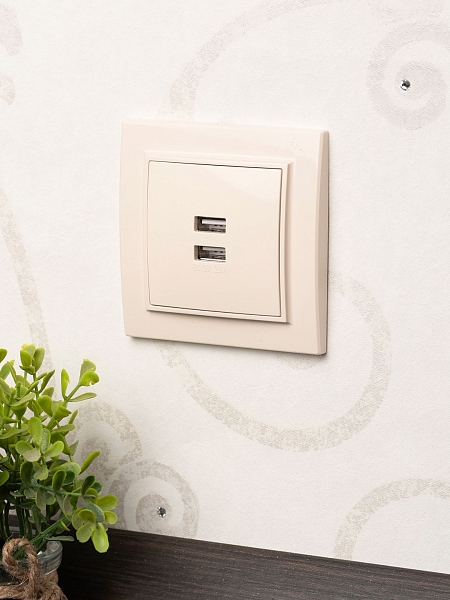Минск Розетка USB 2-местная СП 2,1А бежевая EKF