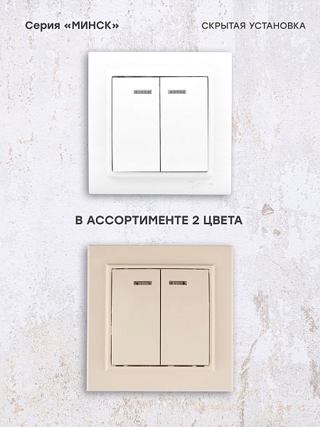 Минск Выключатель 2-клавишный СП с индикатором,10А, белый EKF