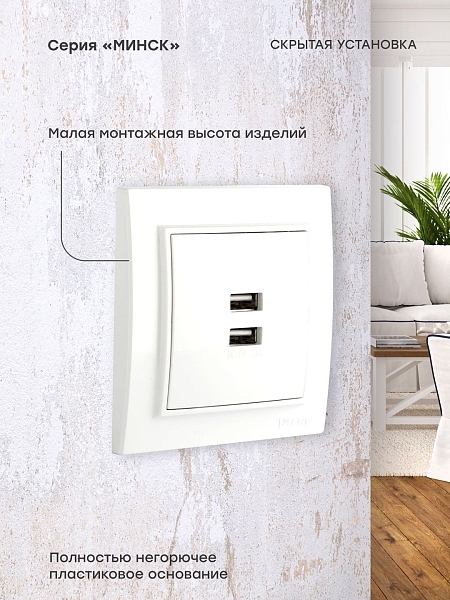Минск Розетка USB 2-местная СП 2,1А белая EKF
