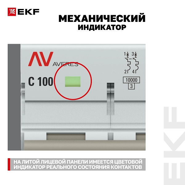 Выключатель автоматический AV-125 2P 100A (C) 10kA EKF AVERES