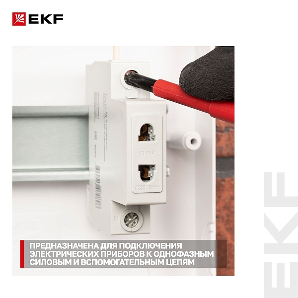 Розетка РД-47 240В EKF PROxima 