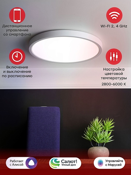 Умный потолочный светильник 300 мм 24 W EKF Connect